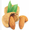 2020 New Crop Healthy Snacks Almonds Raw inshell Almonds Bulk Unsalted